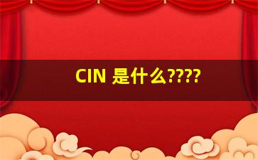 CIN 是什么????
