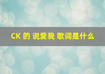 CK 的 说爱我 歌词是什么