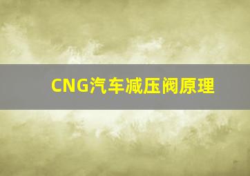 CNG汽车减压阀原理