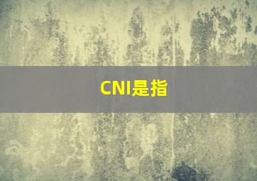 CNI是指()。