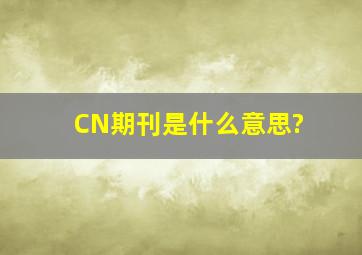 CN期刊是什么意思?