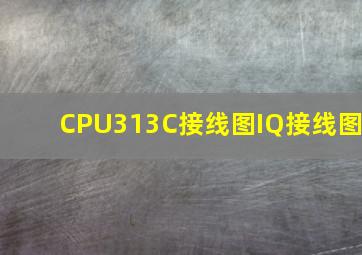 CPU313C接线图IQ接线图