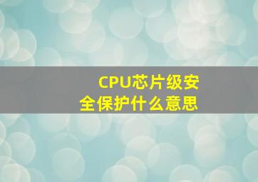 CPU芯片级安全保护什么意思