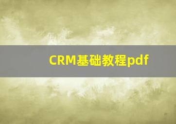 CRM基础教程pdf