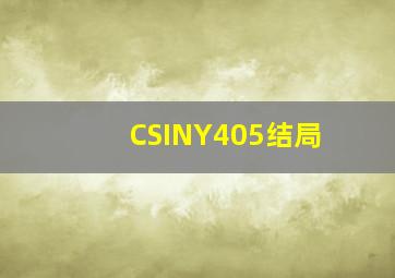 CSINY405结局