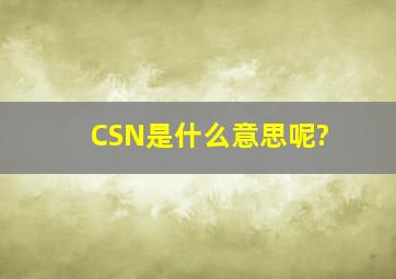 CSN是什么意思呢?