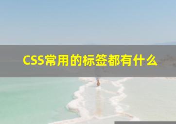 CSS常用的标签都有什么