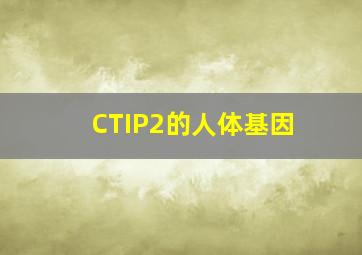 CTIP2的人体基因