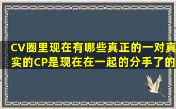 CV圈里现在有哪些真正的一对,真实的CP,是现在在一起的,分手了的就...