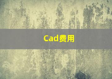 Cad费用