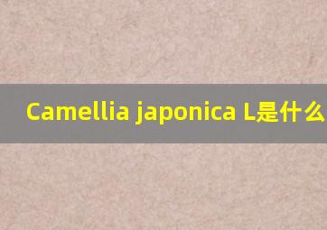 Camellia japonica L是什么意思
