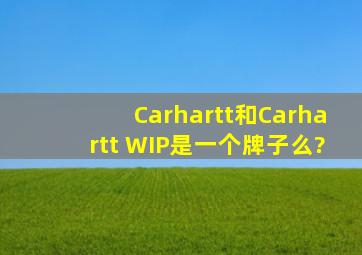 Carhartt和Carhartt WIP是一个牌子么?