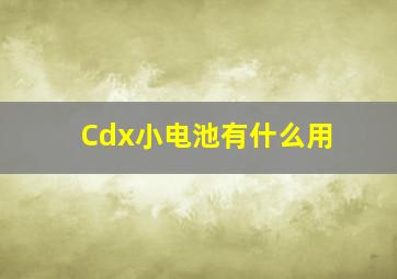 Cdx小电池有什么用