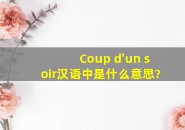 Coup d'un soir汉语中是什么意思?