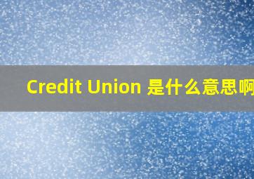 Credit Union 是什么意思啊?