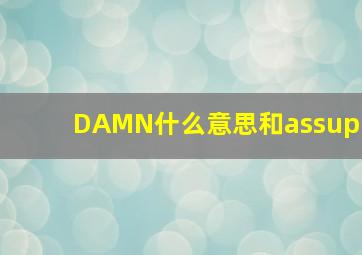 DAMN什么意思(和assup(