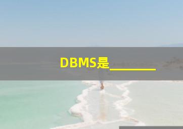 DBMS是_______。