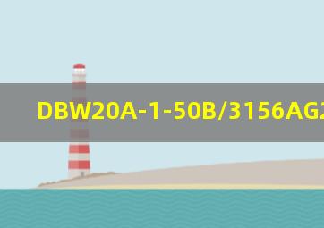 DBW20A-1-50B/3156AG24N25L参数