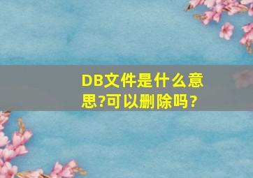 DB文件是什么意思?可以删除吗?