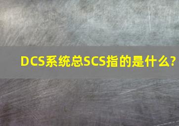 DCS系统总SCS指的是什么?