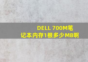 DELL 700M笔记本内存1根多少MB啊