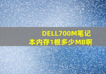 DELL700M笔记本内存1根多少MB啊