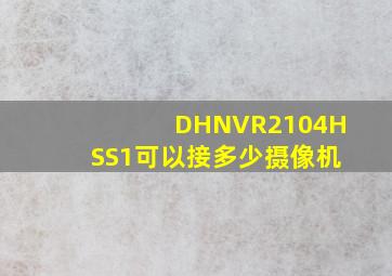 DHNVR2104HSS1可以接多少摄像机