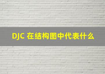 DJC 在结构图中代表什么