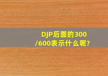 DJP后面的300/600表示什么呢?