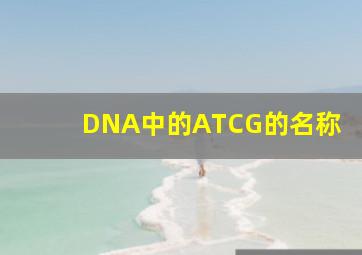 DNA中的ATCG的名称