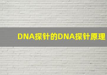DNA探针的DNA探针原理
