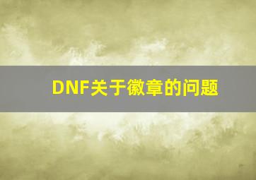 DNF关于徽章的问题