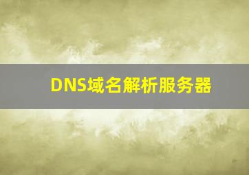 DNS域名解析服务器