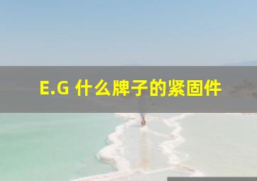 E.G 什么牌子的紧固件