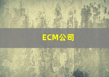 ECM公司