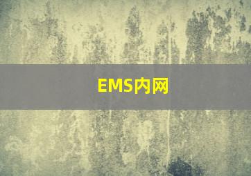 EMS内网