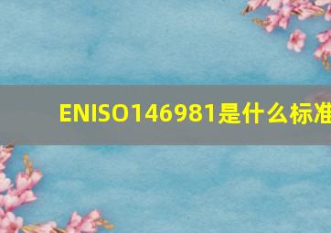 ENISO146981是什么标准