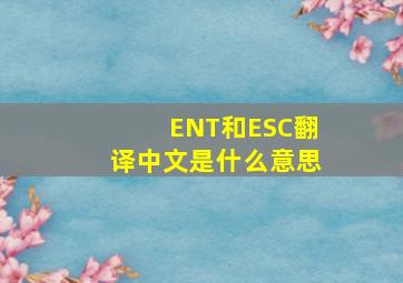 ENT和ESC翻译中文是什么意思
