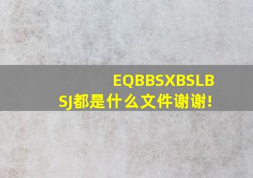 EQB、BSX、BSL、BSJ都是什么文件,谢谢!