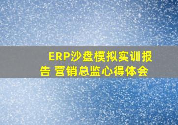 ERP沙盘模拟实训报告 营销总监心得体会