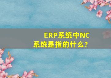 ERP系统中,NC系统是指的什么?