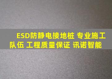 ESD防静电接地桩 专业施工队伍 工程质量保证 讯诺智能 