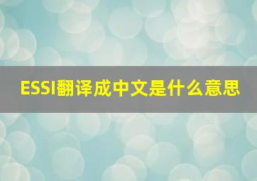 ESSI翻译成中文是什么意思