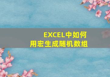 EXCEL中如何用宏生成随机数组