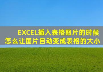 EXCEL插入表格图片的时候怎么让图片自动变成表格的大小