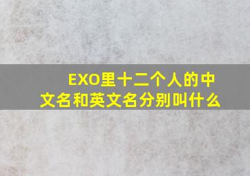 EXO里十二个人的中文名和英文名分别叫什么(