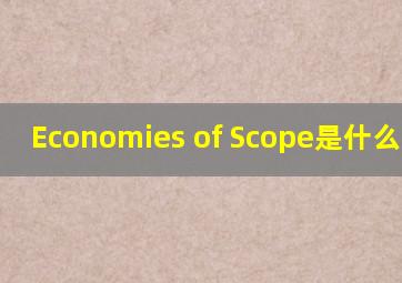 Economies of Scope是什么意思?