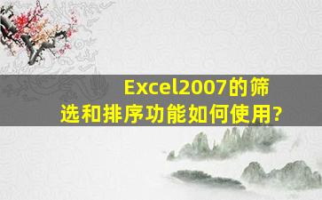 Excel2007的筛选和排序功能如何使用?