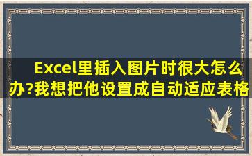 Excel里插入图片时很大怎么办?我想把他设置成自动适应表格的大小。