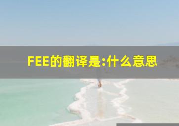 FEE的翻译是:什么意思